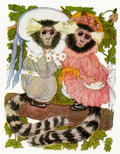 The Marmoset Twins, 1913 by Martin Ross
